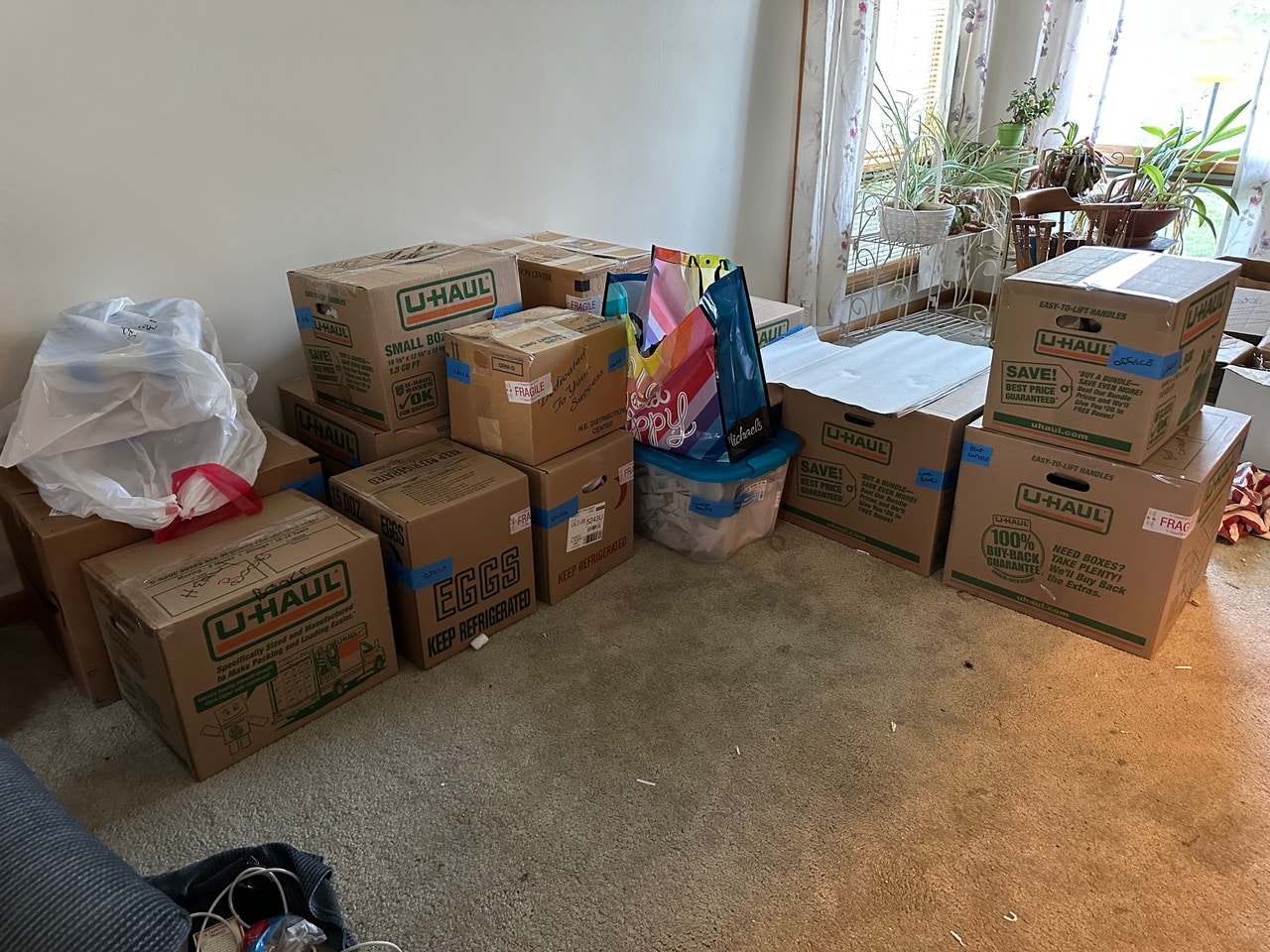 Labeled moving boxes and bags stacked neatly in a bright living room in Ithaca, New York, during a Decluttering Chaos project focused on organized packing and efficient moving preparation